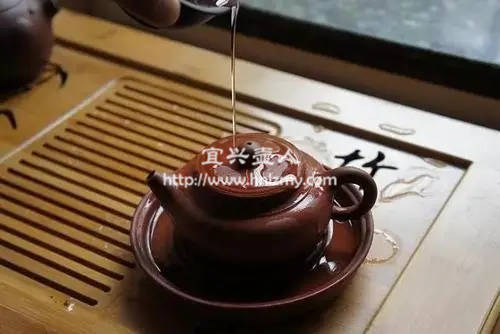 使用正確的養(yǎng)壺方法避免養(yǎng)花