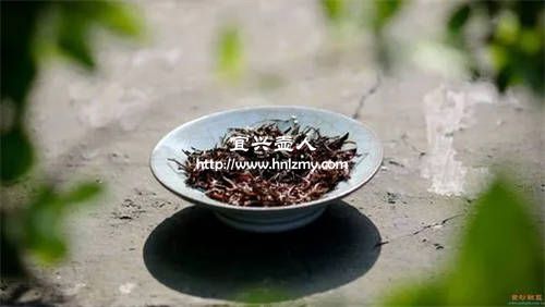 宜興人用什么茶葉養紫砂壺