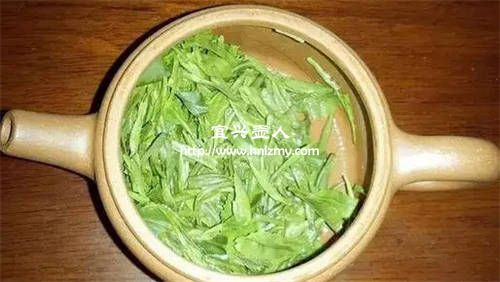 紫砂壺泡綠茶要注意什么？