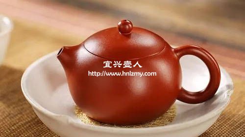 西施壺適合泡什么茶