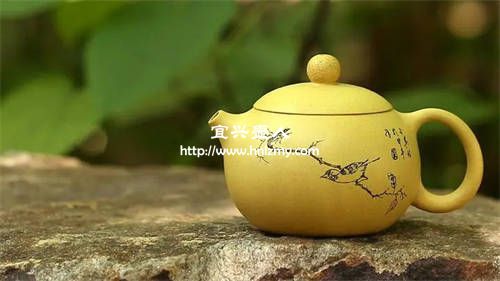 西施壺適合泡什么茶