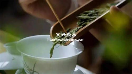 紫砂壺到底能不能泡綠茶