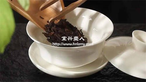 什么茶具適合泡普洱茶