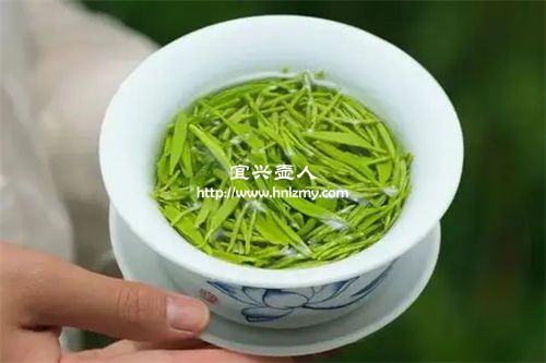 信陽毛尖能用紫砂壺泡嗎3