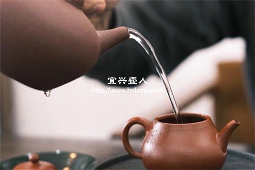 紫砂壺到底泡什么茶比較好