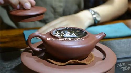 泡普洱茶選什么紫砂壺好