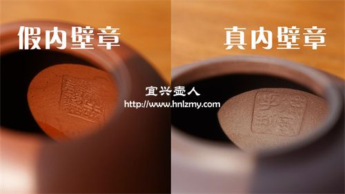 真內(nèi)壁章和假內(nèi)壁章是有區(qū)別的