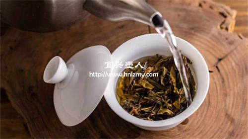 嶗山綠茶能用紫砂壺泡嗎1