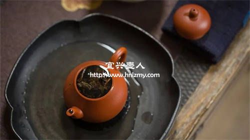 泡烏龍茶用什么壺型好