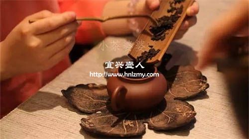 普洱茶量與紫砂壺容量比例1