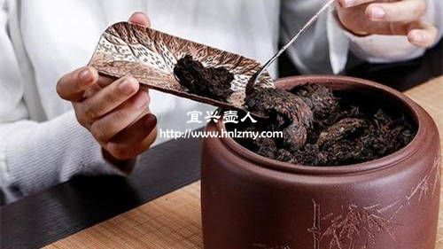 普洱茶量與紫砂壺容量比例2