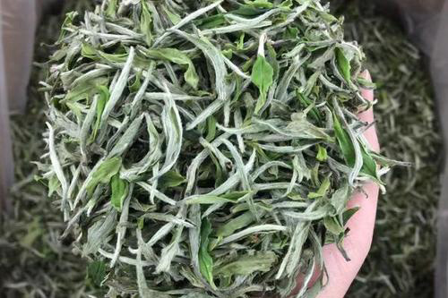 白牡丹茶能用紫砂壺泡嗎1