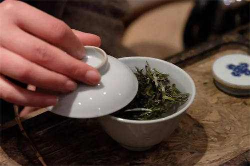 白茶能用紫砂壺嗎1