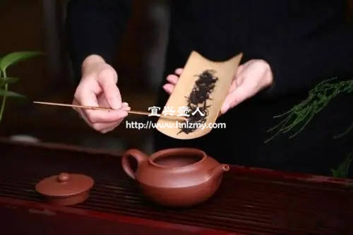 紫砂壺最好泡什么茶.