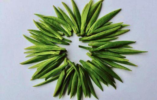 漢中仙毫能用紫砂壺泡嗎