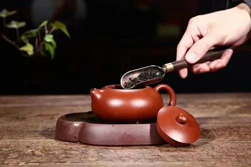 紫砂壺用什么茶葉養最好3