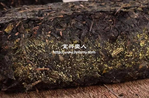 六堡茶能用紫砂壺泡嗎3