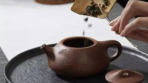 紫砂壺泡什么茶最好