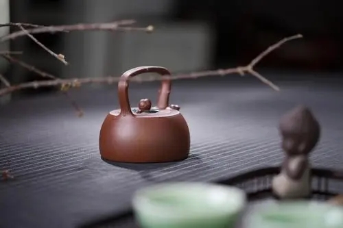 怎樣加快紫砂壺的泡養速度