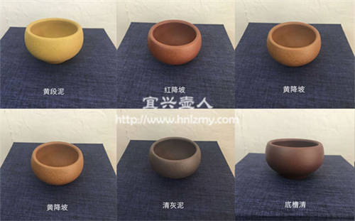 免費贈送紫砂杯 加微信獲取