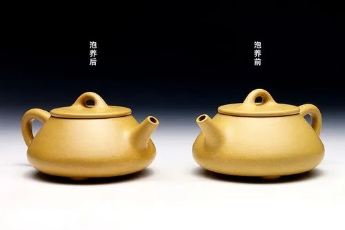 正確方法養壺的效果對比